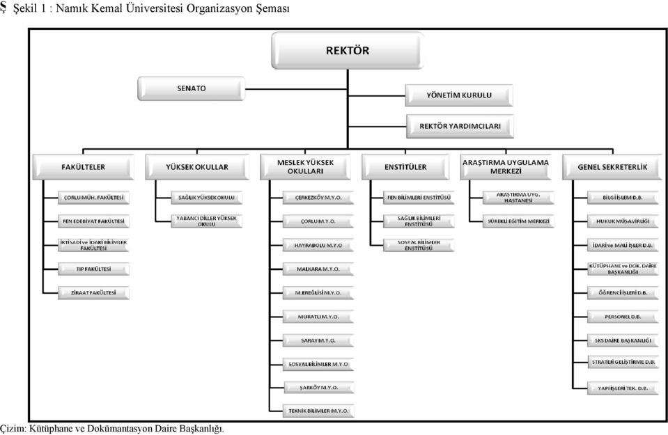 Kemal Üniversitesi Organizasyon Şeması