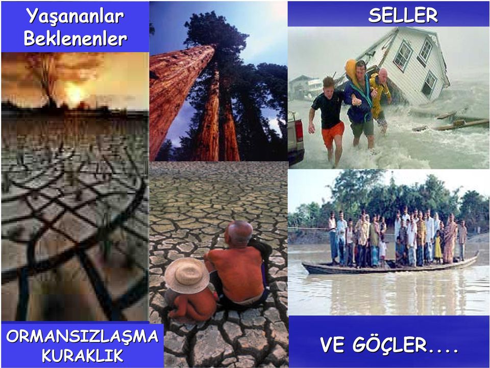 ORMANSIZLAŞMA