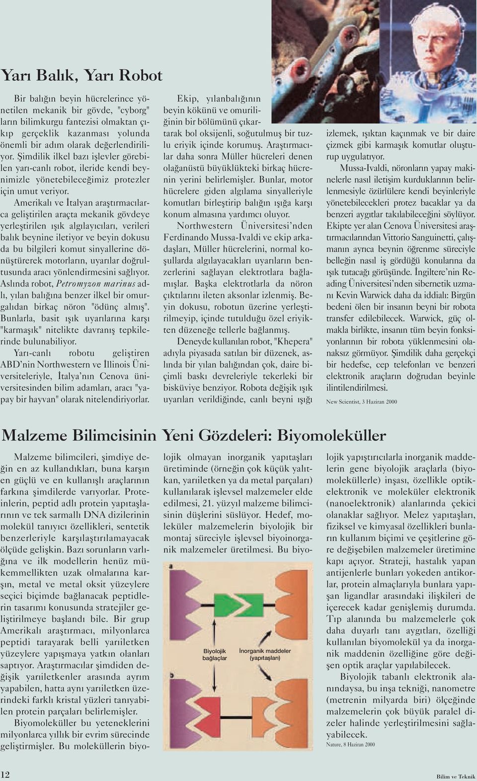 Amerikalı ve İtalyan araştırmacılarca geliştirilen araçta mekanik gövdeye yerleştirilen ışık algılayıcıları, verileri balık beynine iletiyor ve beyin dokusu da bu bilgileri komut sinyallerine