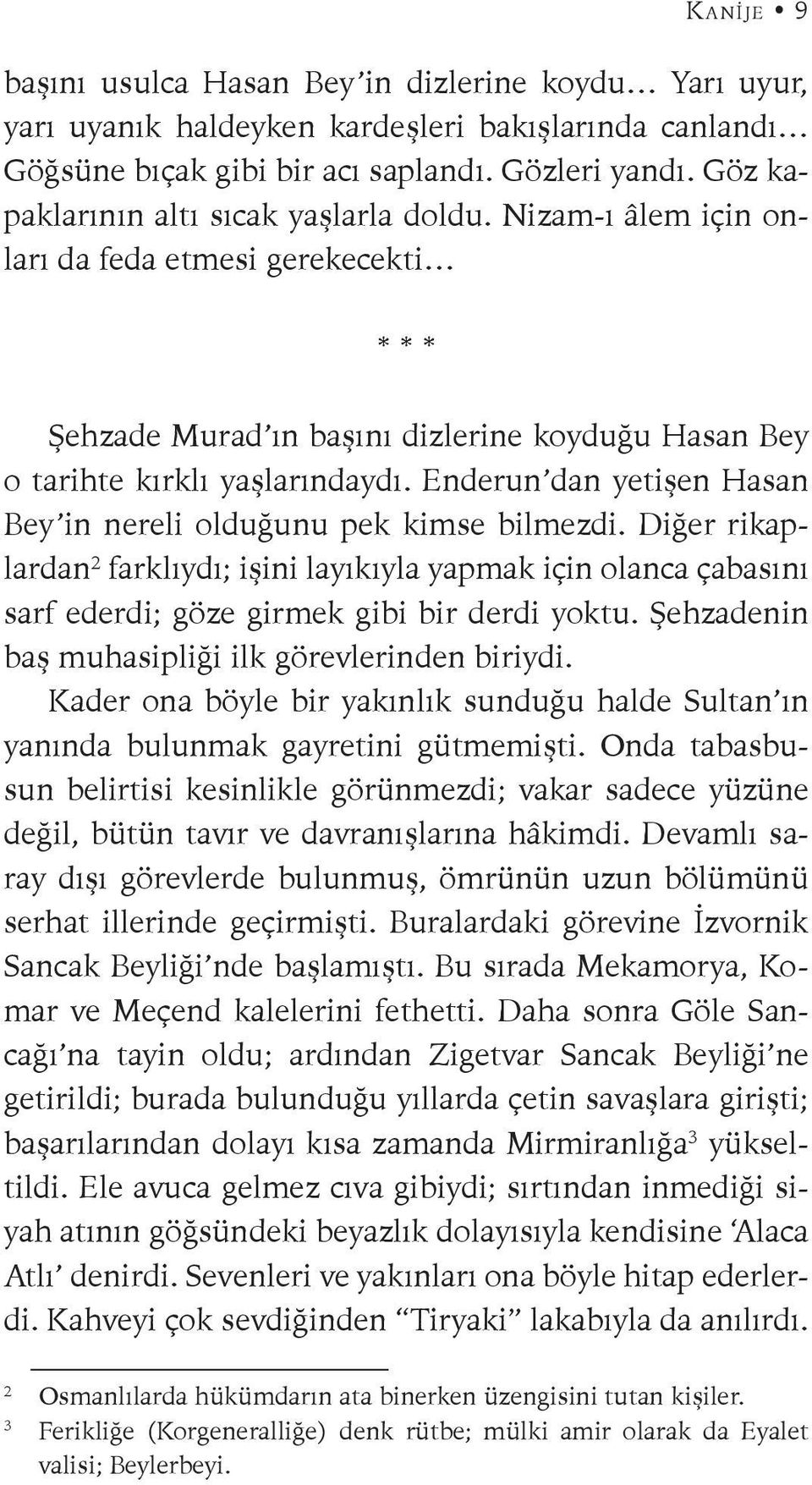 Enderun dan yetişen Hasan Bey in nereli olduğunu pek kimse bilmezdi. Diğer rikaplardan 2 farklıydı; işini layıkıyla yapmak için olanca çabasını sarf ederdi; göze girmek gibi bir derdi yoktu.