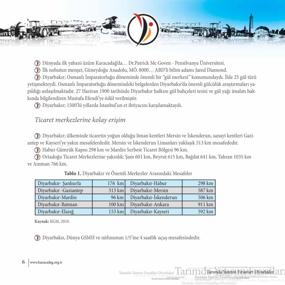 Osmanlı İmparatorluğu dönemindeki belgelerden Diyarbakır da önemli gülcülük araştırmaları yapıldığı anlaşılmaktadır.