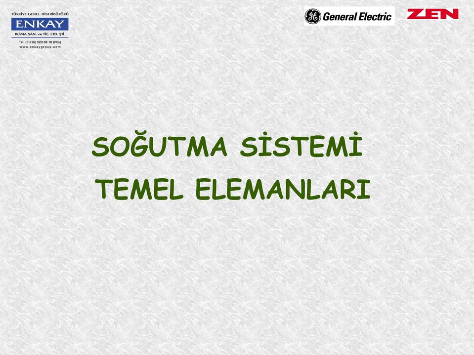 TEMEL