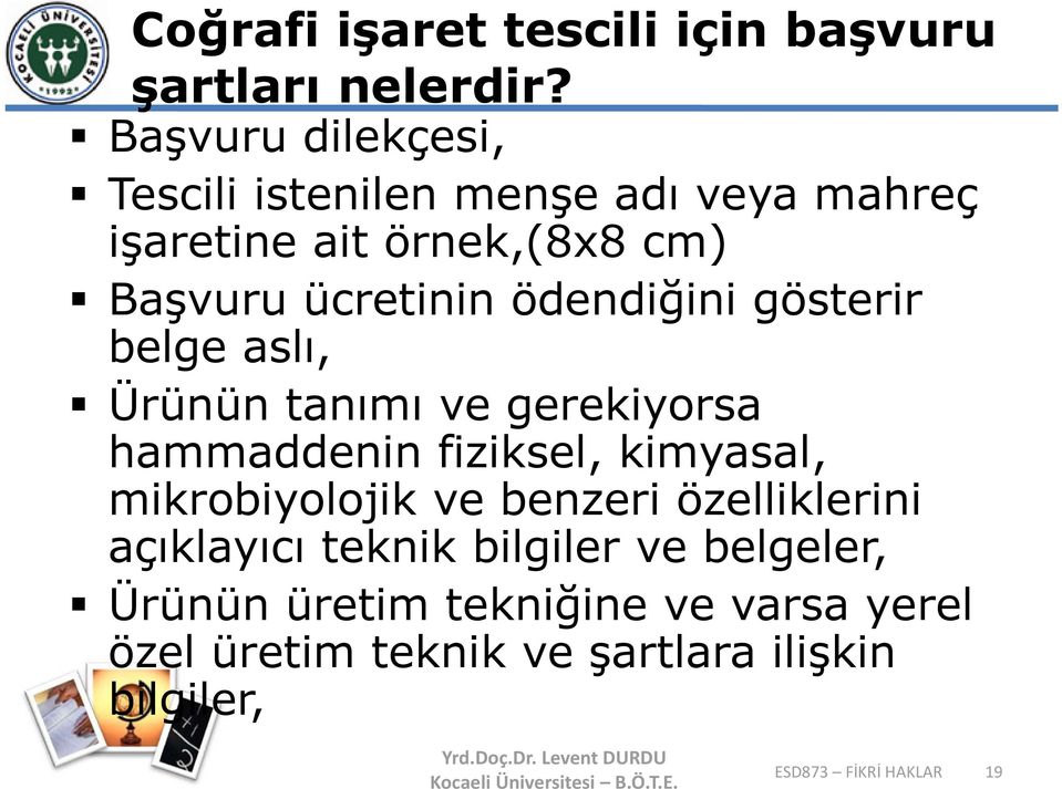 ödendiğini gösterir belge aslı, Ürünün tanımı ve gerekiyorsa hammaddenin fiziksel, kimyasal, mikrobiyolojik ve