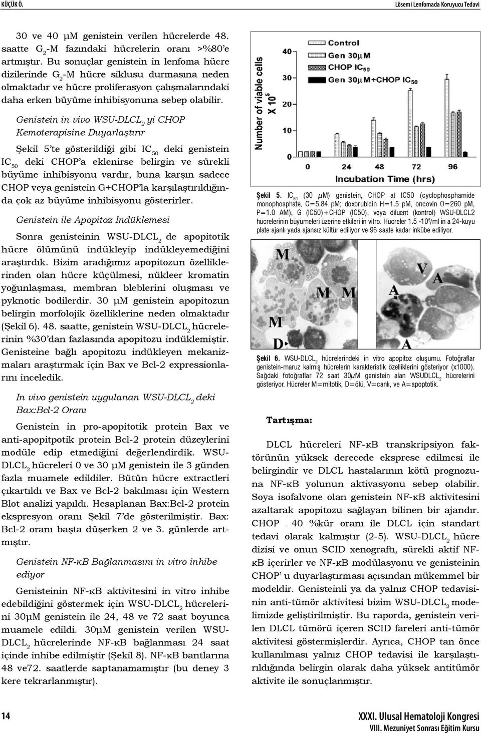 Genistein in vivo yi CHOP Kemoterapisine Duyarlaştırır Şekil 5 te gösterildiği gibi IC 50 deki genistein IC 50 deki CHOP a eklenirse belirgin ve sürekli büyüme inhibisyonu vardır, buna karşın sadece