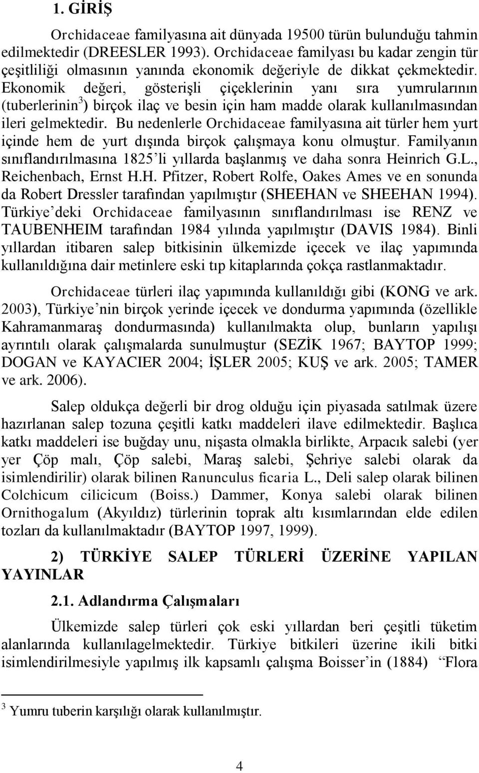 Ekonomik değeri, gösteriģli çiçeklerinin yanı sıra yumrularının (tuberlerinin 3 ) birçok ilaç ve besin için ham madde olarak kullanılmasından ileri gelmektedir.