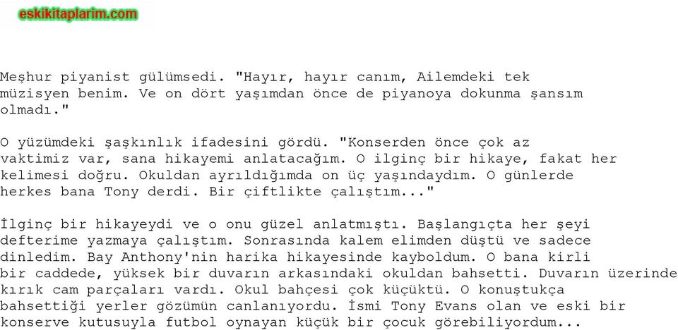 Bir çiftlikte çalıştım..." İlginç bir hikayeydi ve o onu güzel anlatmıştı. Başlangıçta her şeyi defterime yazmaya çalıştım. Sonrasında kalem elimden düştü ve sadece dinledim.