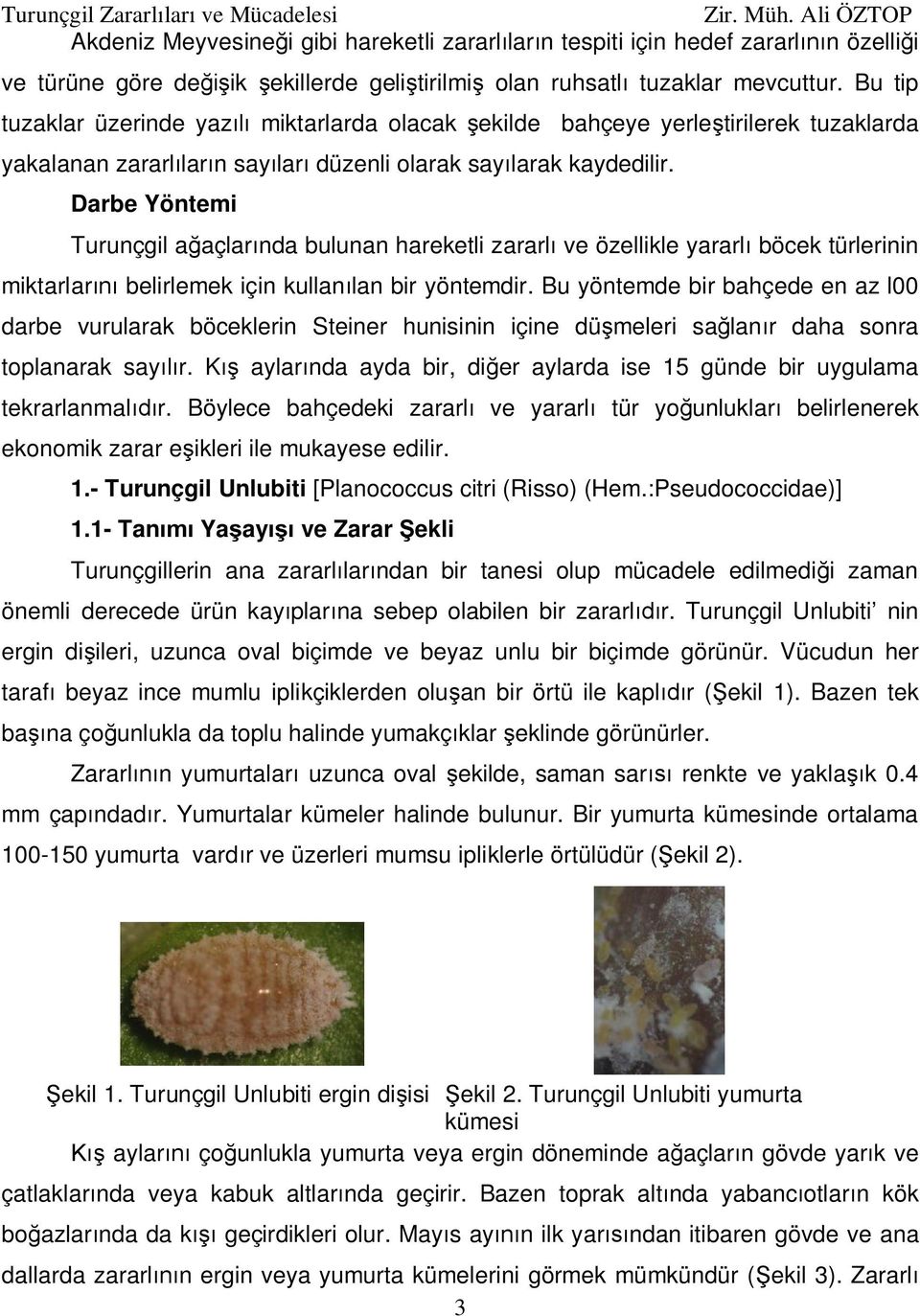 Darbe Yöntemi Turunçgil a açlar nda bulunan hareketli zararl ve özellikle yararl böcek türlerinin miktarlar belirlemek için kullan lan bir yöntemdir.