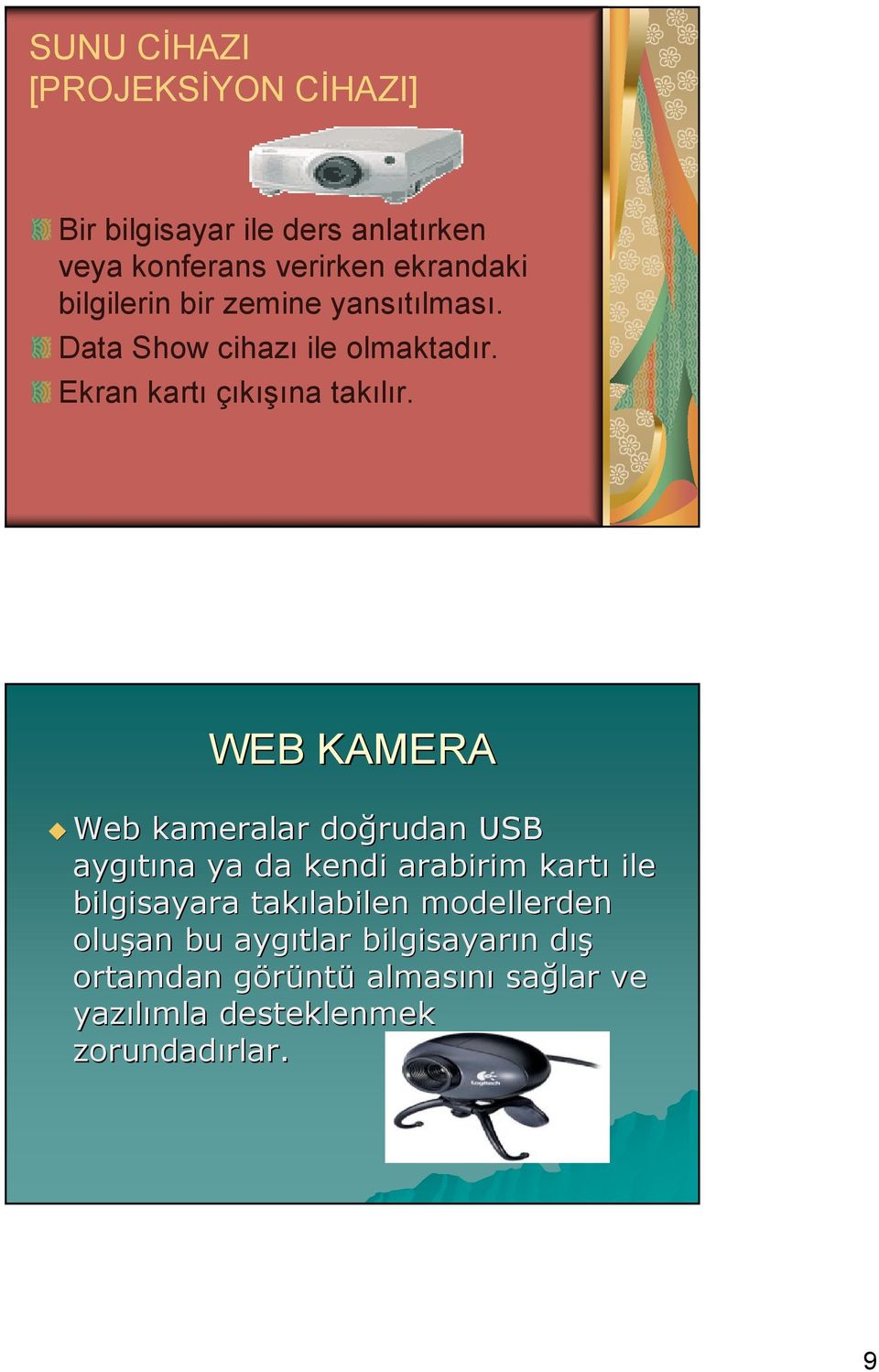 WEB KAMERA Web kameralar dorudan rudan USB aygtna ya da kendi arabirim kart ile bilgisayara taklabilen