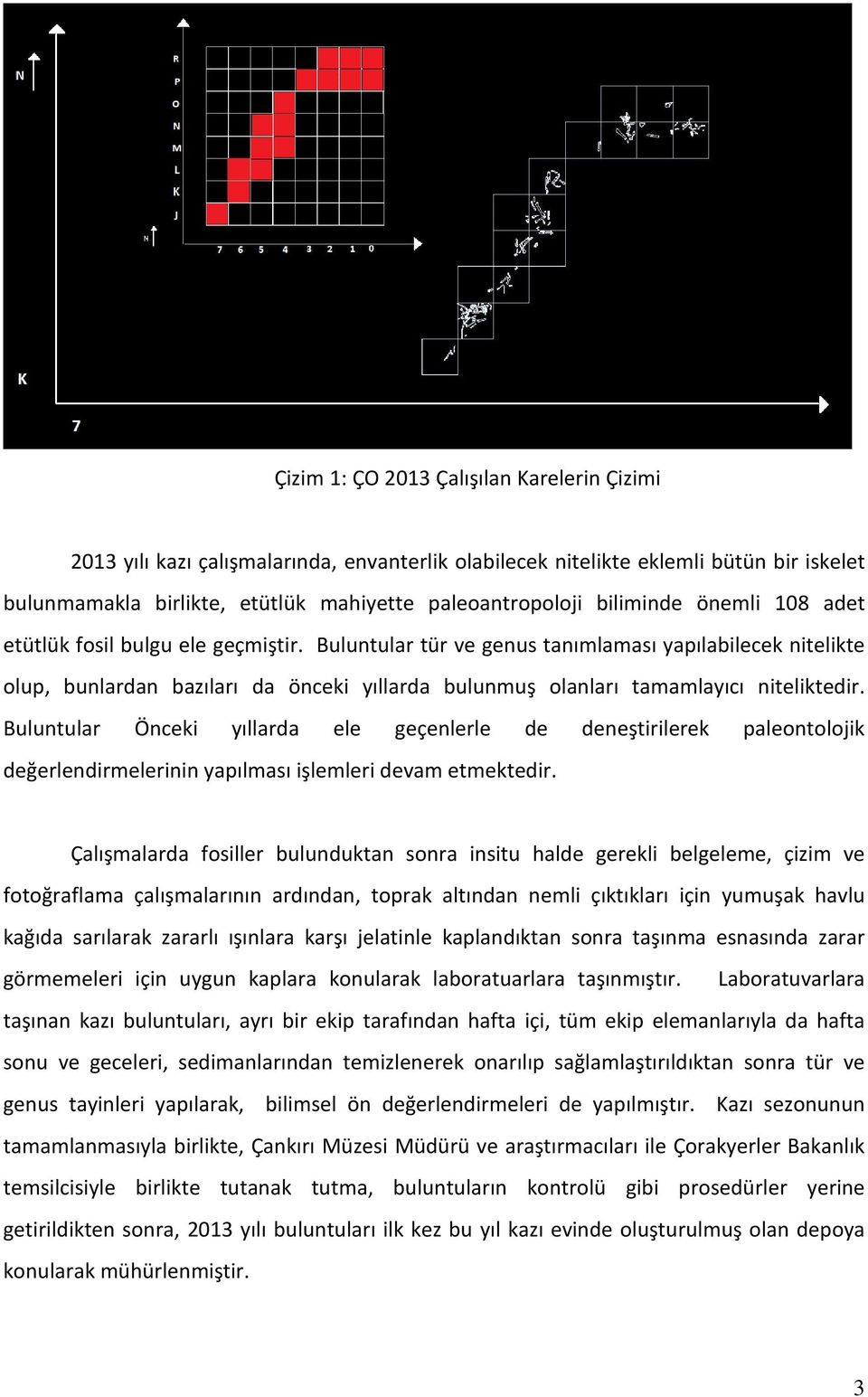 Buluntular tür ve genus tanımlaması yapılabilecek nitelikte olup, bunlardan bazıları da önceki yıllarda bulunmuş olanları tamamlayıcı niteliktedir.