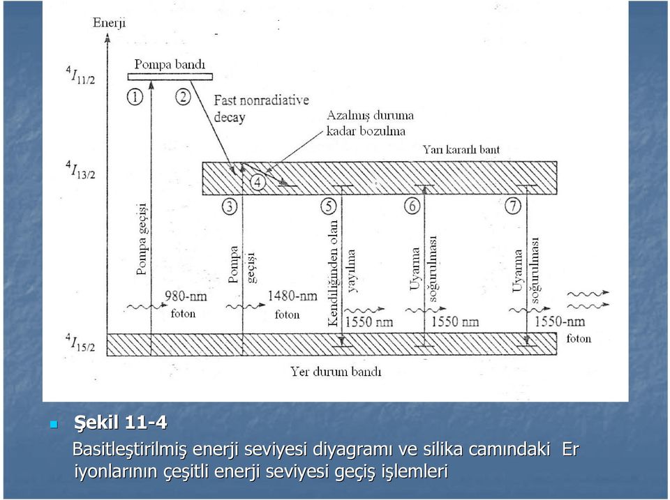 diyagramı ve silika camındaki Er