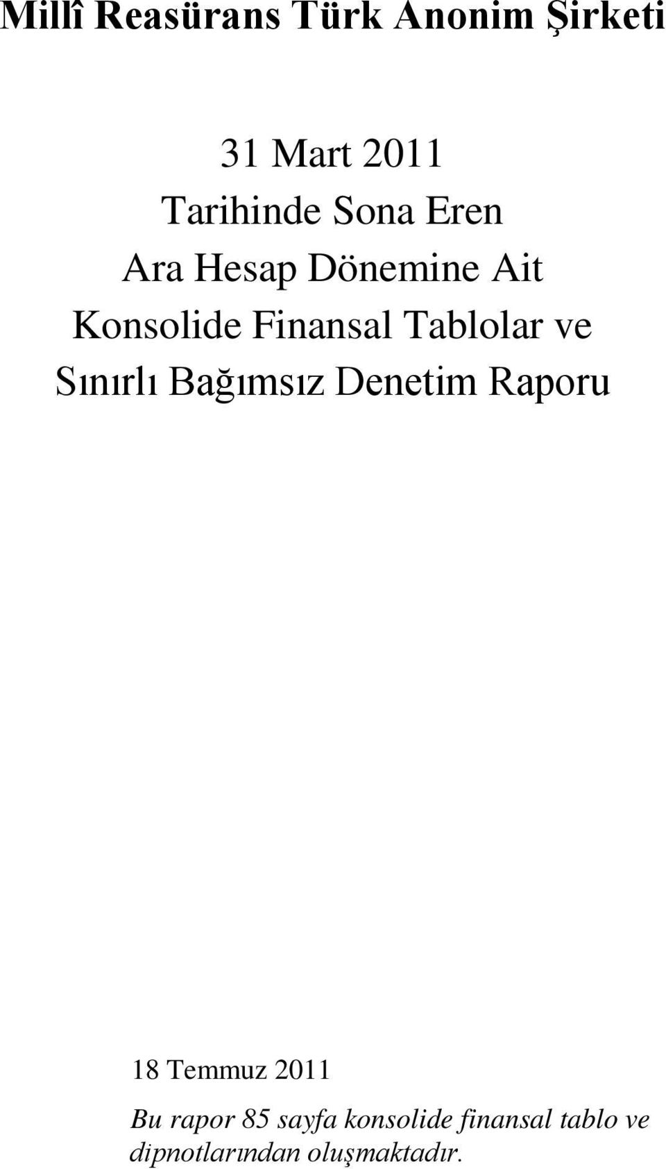 Denetim Raporu 18 Temmuz 2011 Bu rapor 85 sayfa