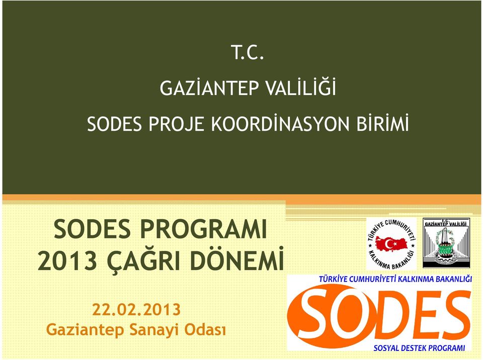 SODES PROGRAMI 2013 ÇAĞRI