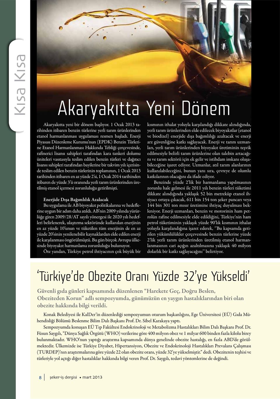 teslim edilen benzin türleri ve dağıtıcı lisansı sahipleri tarafından bayilerine bir takvim yılı içerisinde teslim edilen benzin türlerinin toplamının, 1 Ocak 2013 tarihinden itibaren en az yüzde 2