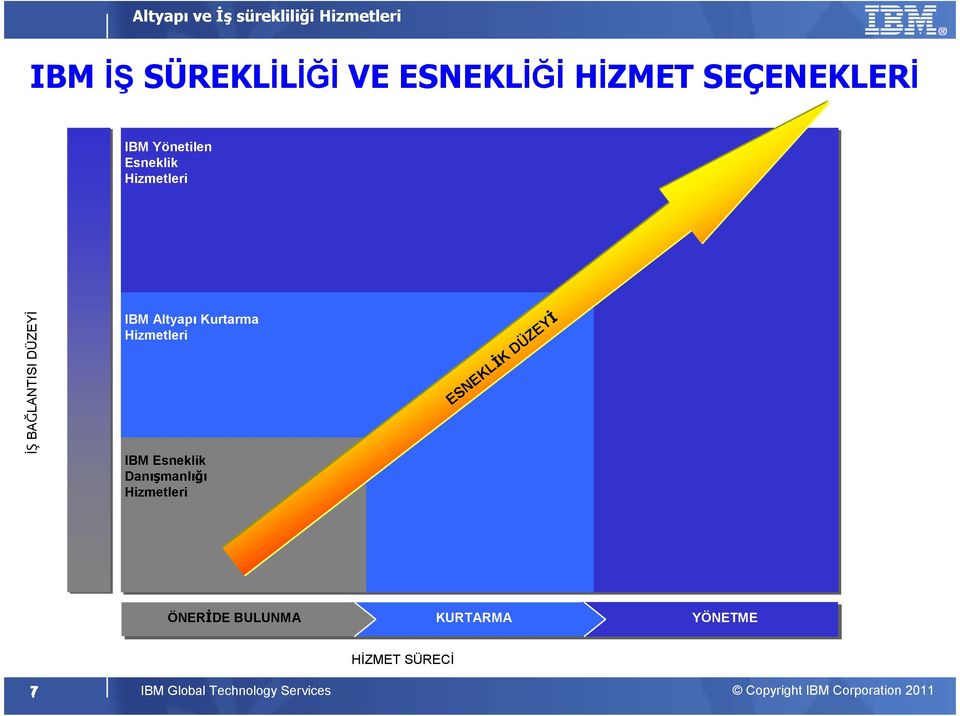 Hizmetleri IBM Esneklik Danışmanlığı Hizmetleri ESNEKLĐK DÜZEYĐ