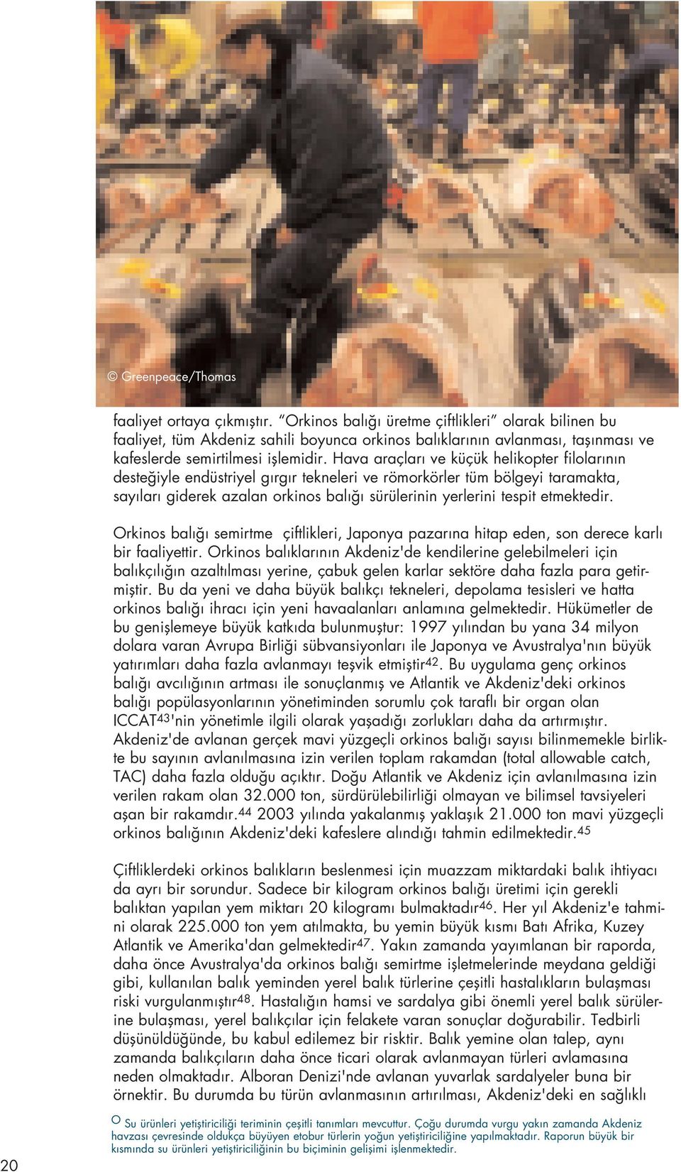 Hava araçlar ve küçük helikopter filolar n n deste iyle endüstriyel g rg r tekneleri ve römorkörler tüm bölgeyi taramakta, say lar giderek azalan orkinos bal sürülerinin yerlerini tespit etmektedir.