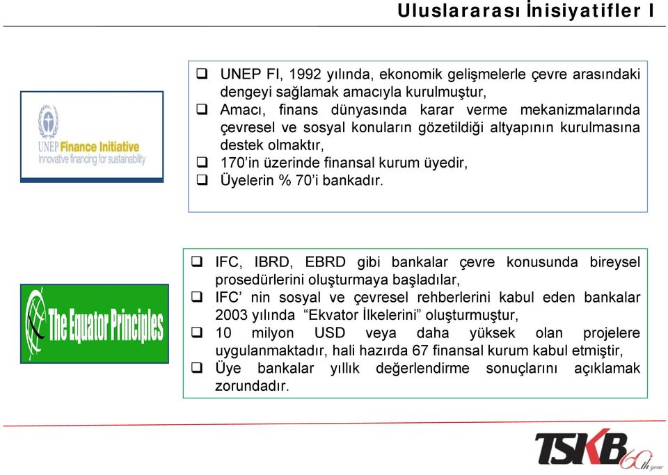 IFC, IBRD, EBRD gibi bankalar çevre konusunda bireysel prosedürlerini oluşturmaya başladılar, IFC nin sosyal ve çevresel rehberlerini kabul eden bankalar 2003 yılında Ekvator