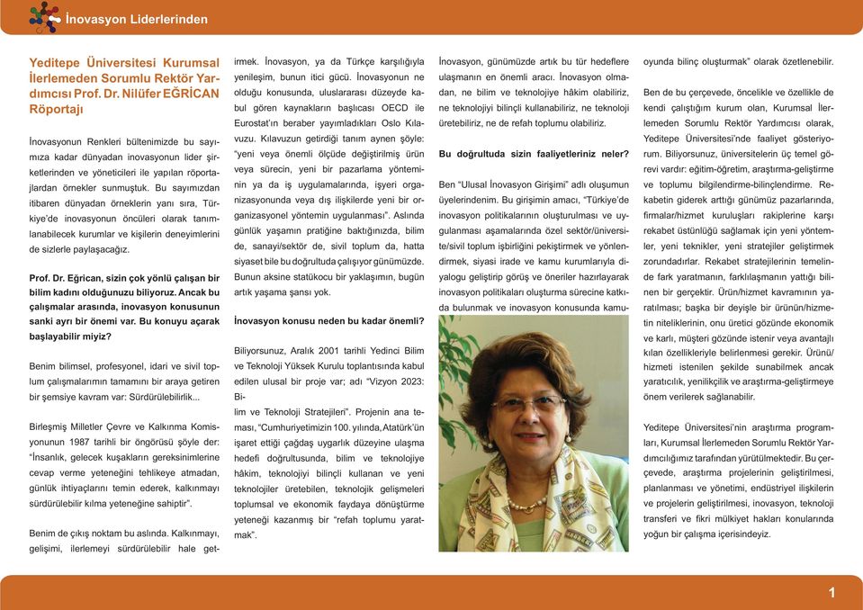 İnovasyonun ne olduğu konusunda, uluslararası düzeyde kabul gören kaynakların başlıcası OECD ile Eurostat ın beraber yayımladıkları Oslo Kıla- İnovasyon, günümüzde artık bu tür hedeflere ulaşmanın en