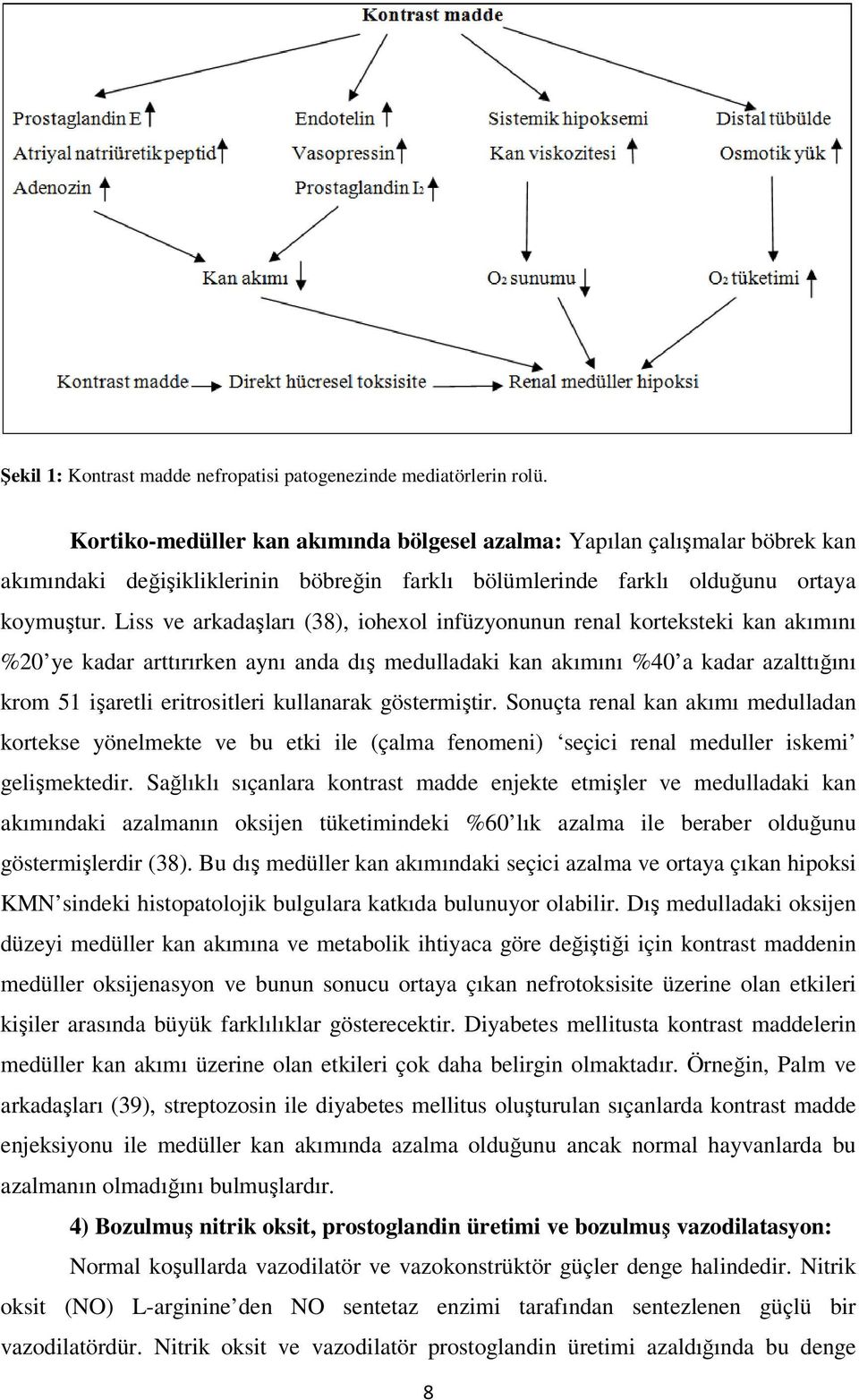 Liss ve arkadaşları (38), iohexol infüzyonunun renal korteksteki kan akımını %20 ye kadar arttırırken aynı anda dış medulladaki kan akımını %40 a kadar azalttığını krom 51 işaretli eritrositleri