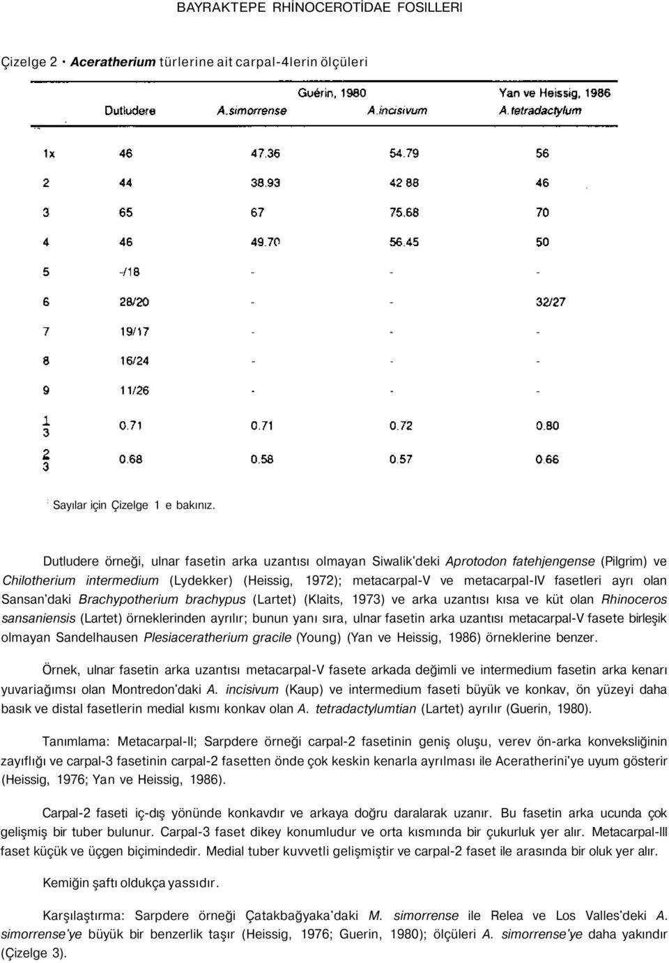 ayrı olan Sansan'daki Brachypotherium brachypus (Lartet) (Klaits, 1973) ve arka uzantısı kısa ve küt olan Rhinoceros sansaniensis (Lartet) örneklerinden ayrılır; bunun yanı sıra, ulnar fasetin arka