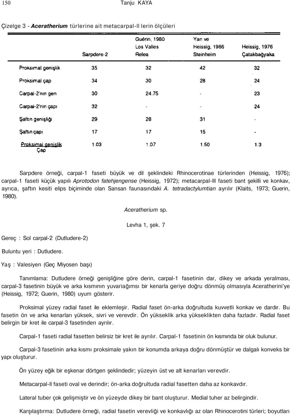 tetradactylumtian ayrılır (Klaits, 1973; Guerin, 1980). Gereç : Sol carpal-2 (Dutludere-2) Buluntu yeri : Dutludere. Yaş : Valesiyen (Geç Miyosen başı) Aceratherium sp. Levha 1, şek.