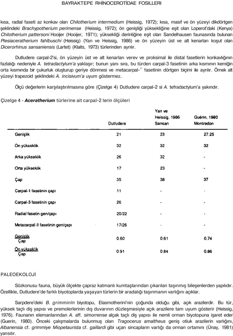 fahlbuschi (Heissig) (Yan ve Heissig, 1986) ve ön yüzeyin üst ve alt kenarları koşut olan Dicerorhinus sansaniensis (Lartet) (Klaits, 1973) türlerinden ayrılır.