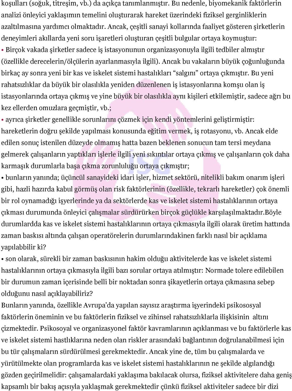 Ancak, çeşitli sanayi kollarında faaliyet gösteren şirketlerin deneyimleri akıllarda yeni soru işaretleri oluşturan çeşitli bulgular ortaya koymuştur: Birçok vakada şirketler sadece iş istasyonunun