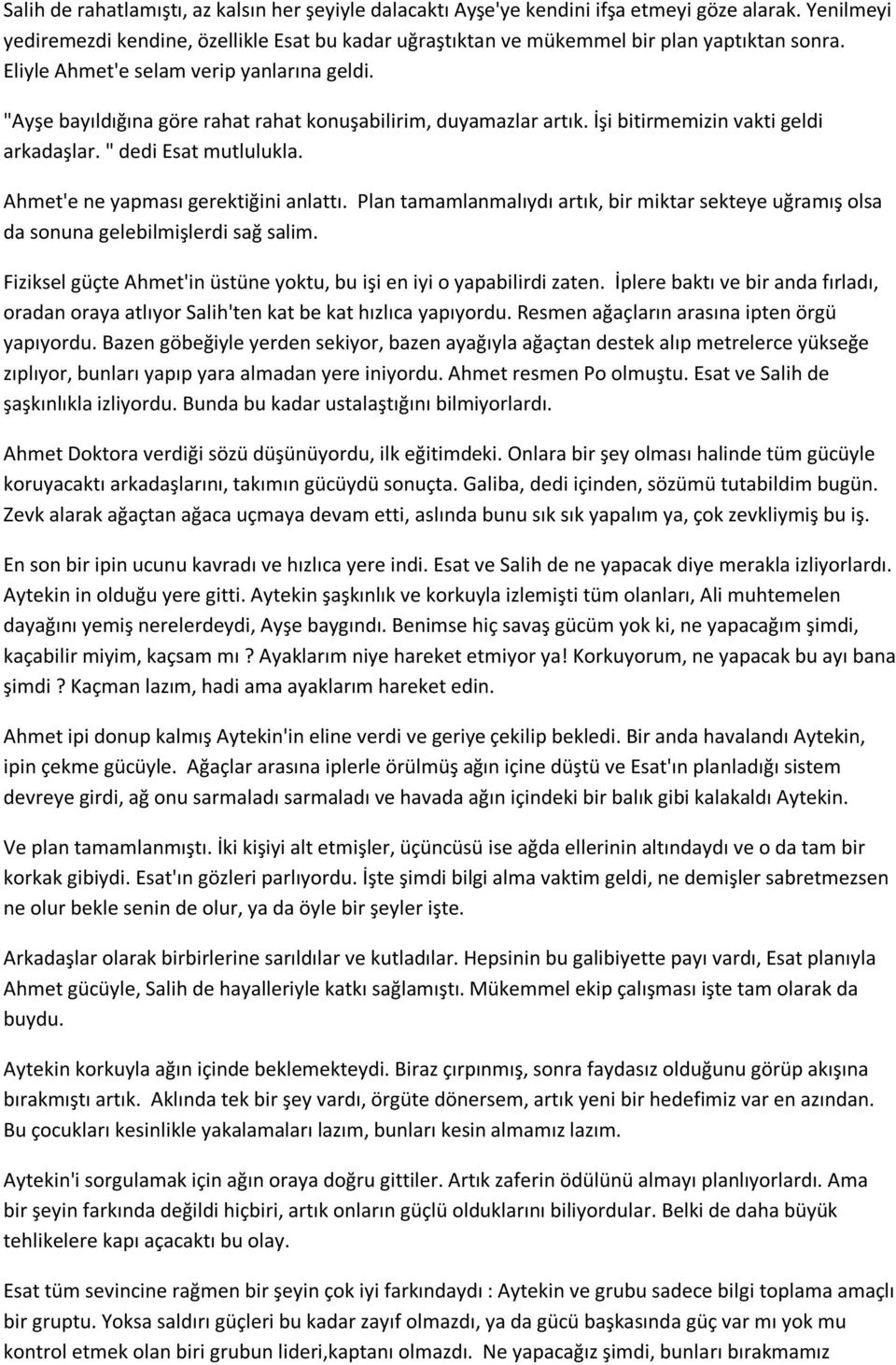 Ahmet'e ne yapması gerektiğini anlattı. Plan tamamlanmalıydı artık, bir miktar sekteye uğramış olsa da sonuna gelebilmişlerdi sağ salim.