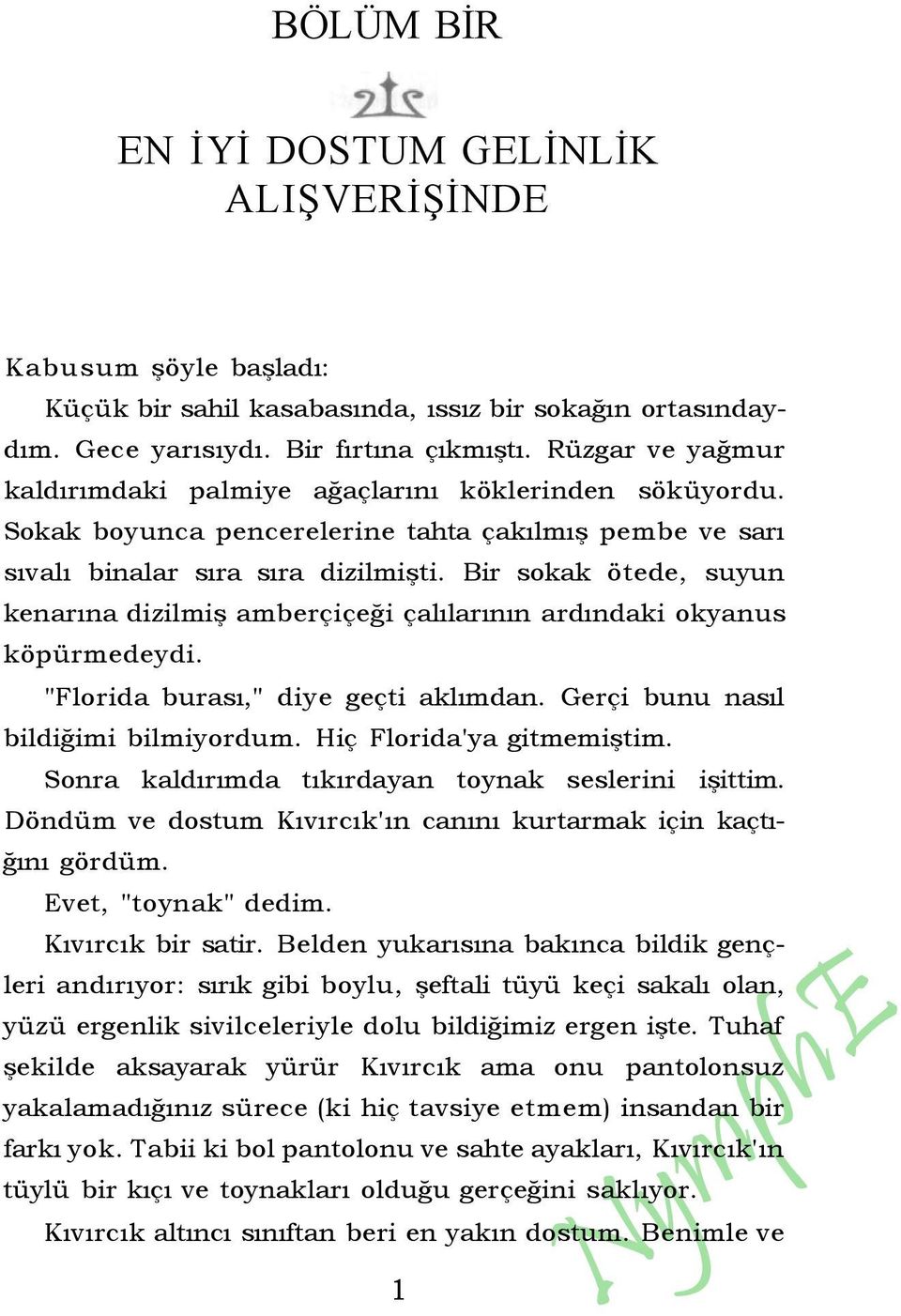 Bir sokak ötede, suyun kenarına dizilmiş amberçiçeği çalılarının ardındaki okyanus köpürmedeydi. "Florida burası," diye geçti aklımdan. Gerçi bunu nasıl bildiğimi bilmiyordum.