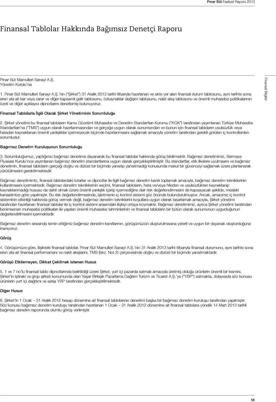nin ( Şirket ) 31 Aralık 2013 tarihi itibarıyla hazırlanan ve ekte yer alan finansal durum tablosunu, aynı tarihte sona eren yıla ait kar veya zarar ve diğer kapsamlı gelir tablosunu, özkaynaklar