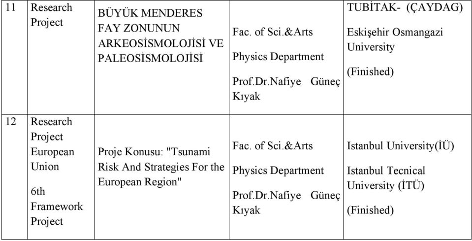 European Union 6th Framework Proje Konusu: "Tsunami Risk And Strategies For