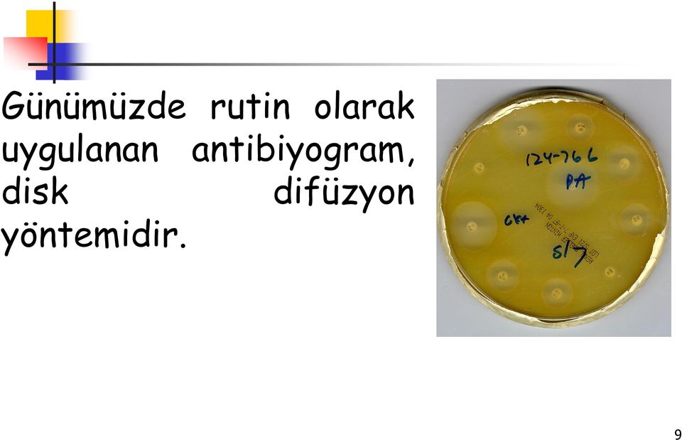 antibiyogram, disk