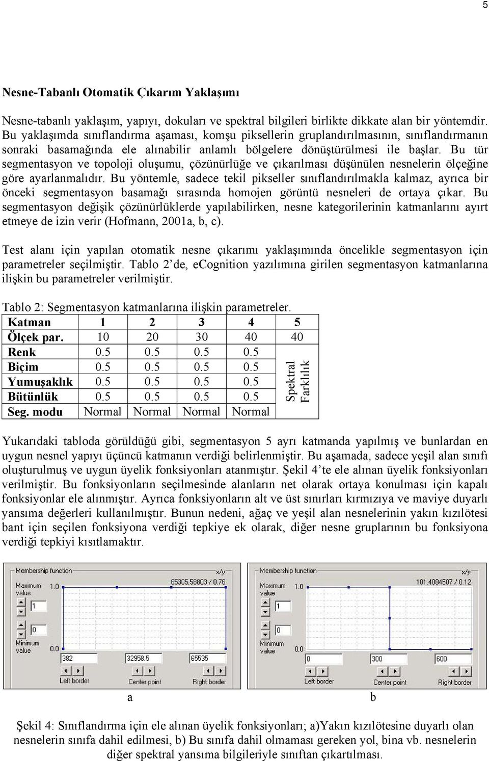 Bu tür segmentasyon ve topoloji oluşumu, çözünürlüğe ve çıkarılması düşünülen nesnelerin ölçeğine göre ayarlanmalıdır.