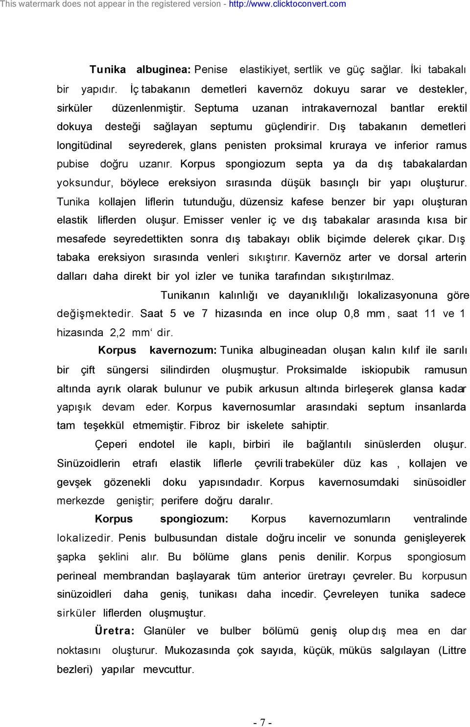 Dış bantlar tabakanın erektil demetleri seyrederek, glans penisten proksimal kruraya inferior ramus doğru uzanır.