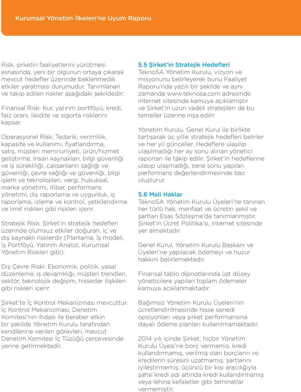 Operasyonel Risk: Tedarik, verimlilik, kapasite ve kullanımı, fiyatlandırma, satış, müşteri memnuniyeti, ürün/hizmet geliştirme, insan kaynakları, bilgi güvenliği ve iş sürekliliği, çalışanların