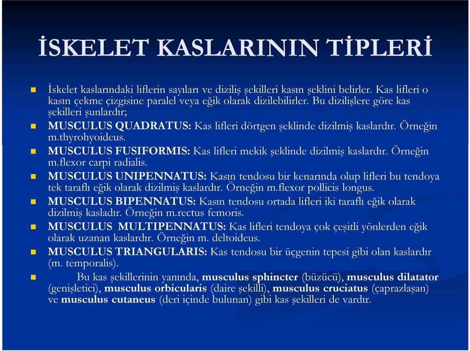 MUSCULUS FUSIFORMIS: Kas lifleri mekik şeklinde dizilmiş kaslardır. Örneğin m.flexor carpi radialis.