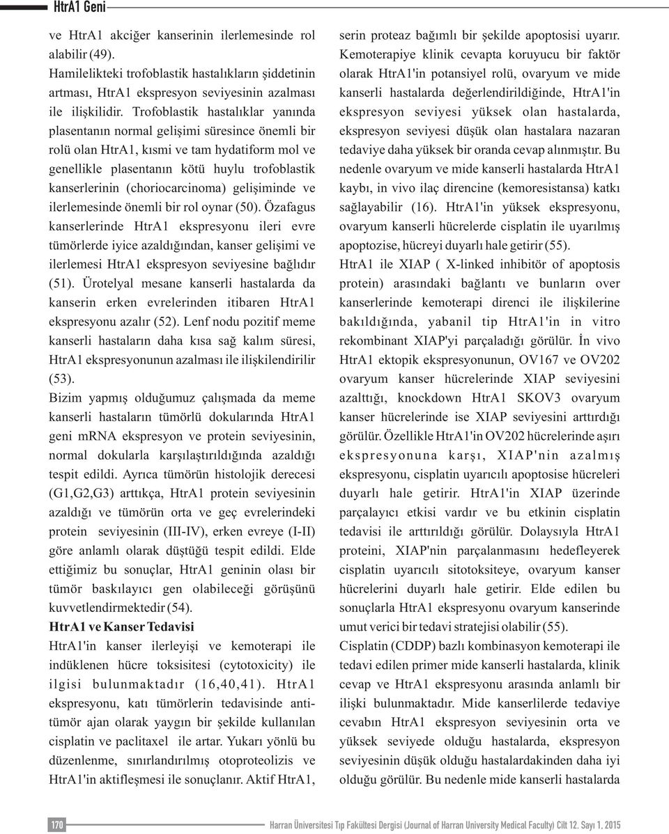 (choriocarcinoma) gelişiminde ve ilerlemesinde önemli bir rol oynar (50).