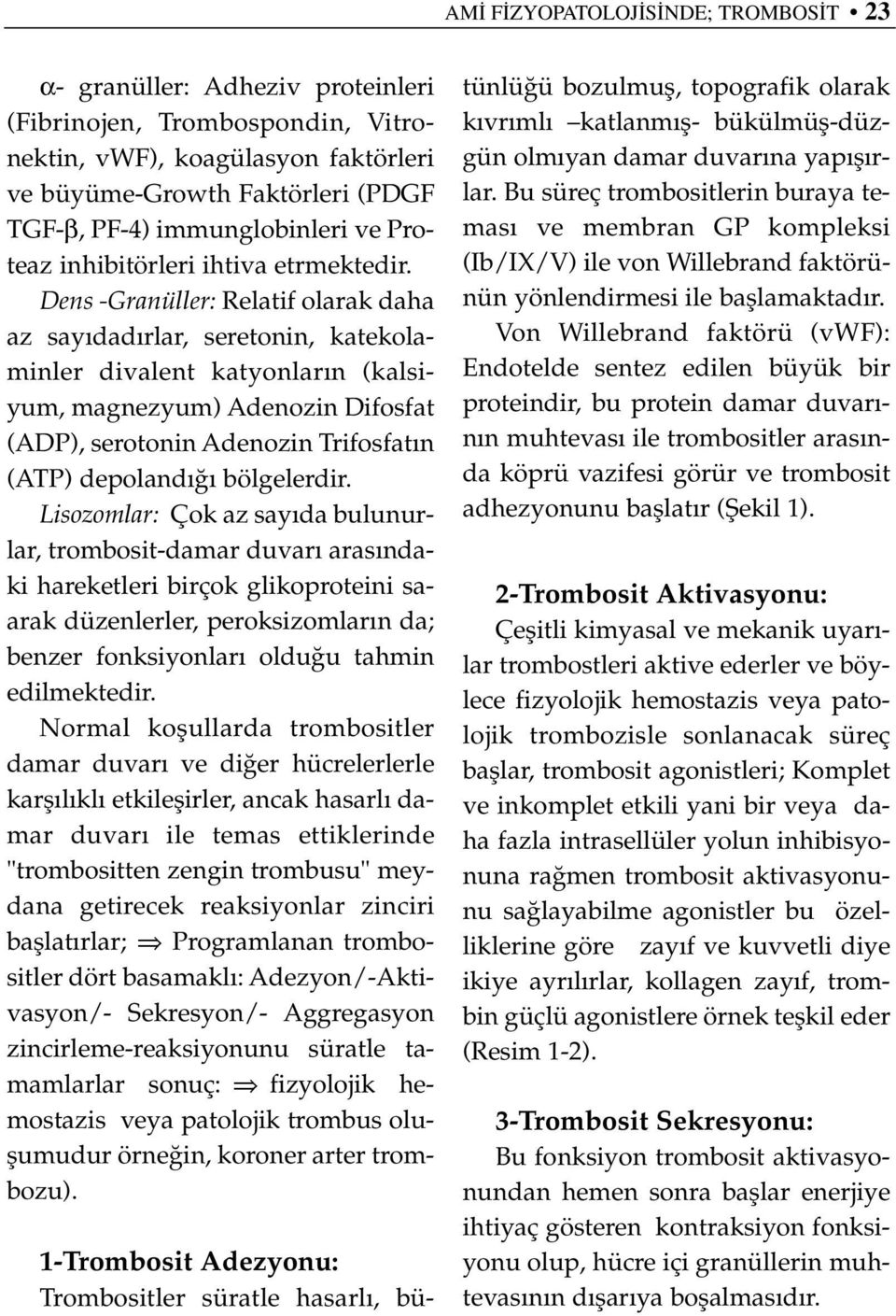 Dens -Granüller: Relatif olarak daha az say dad rlar, seretonin, katekolaminler divalent katyonlar n (kalsiyum, magnezyum) Adenozin Difosfat (ADP), serotonin Adenozin Trifosfat n (ATP) depoland