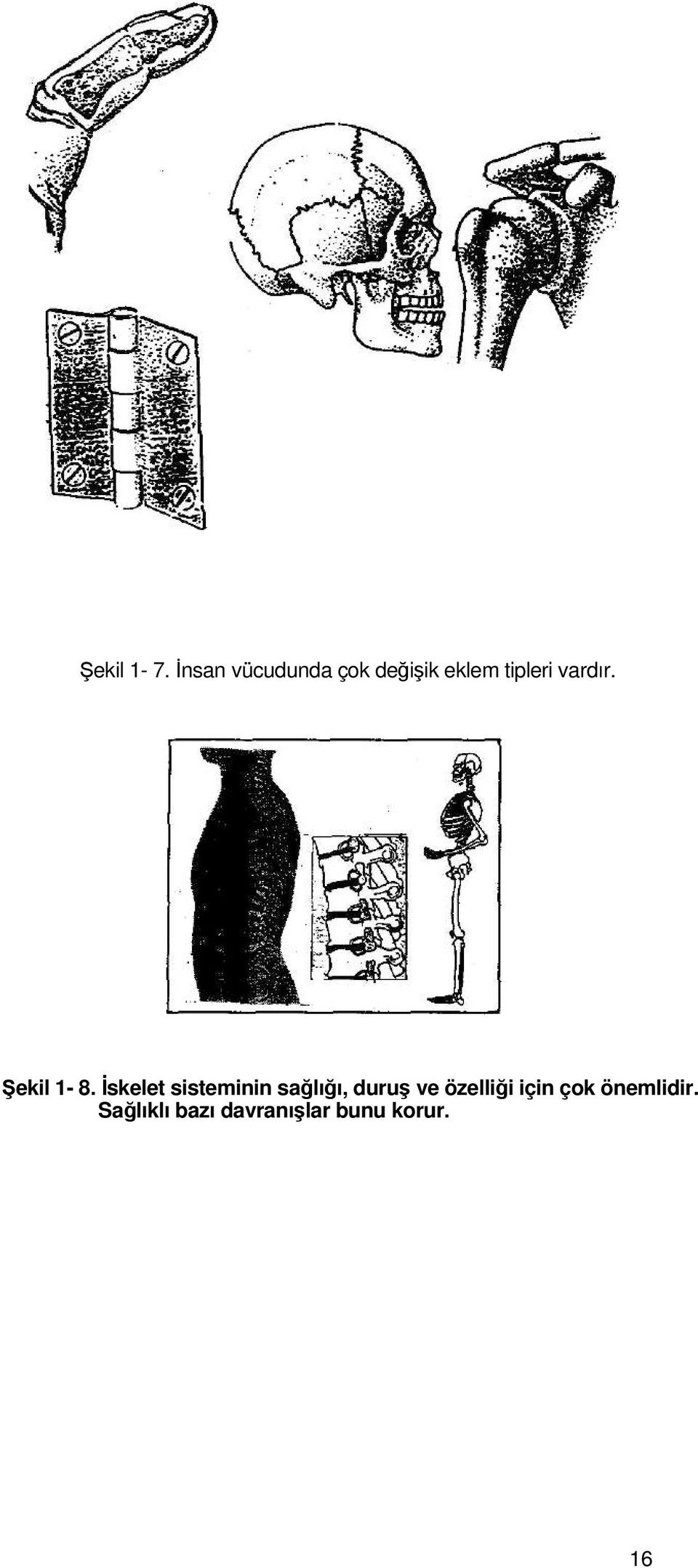 vardır. Şekil 1-8.