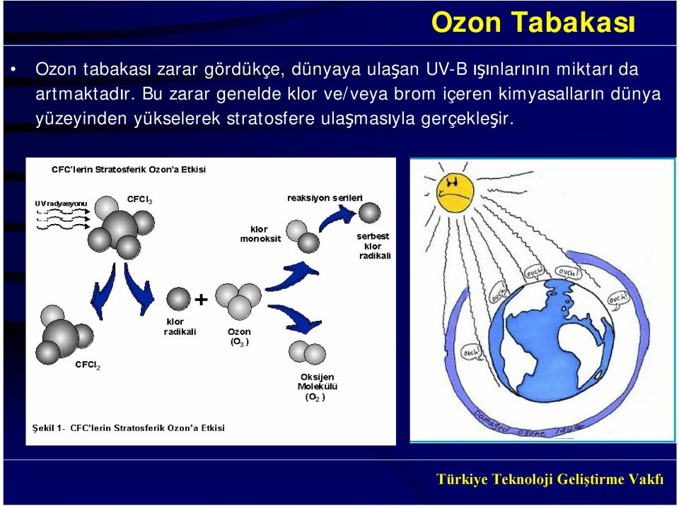 Bu zarar genelde klor ve/veya brom içeren