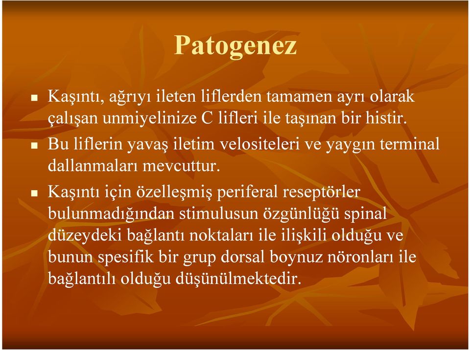 Kaşıntı için özelleşmiş periferal reseptörler bulunmadığından stimulusun özgünlüğü spinal düzeydeki