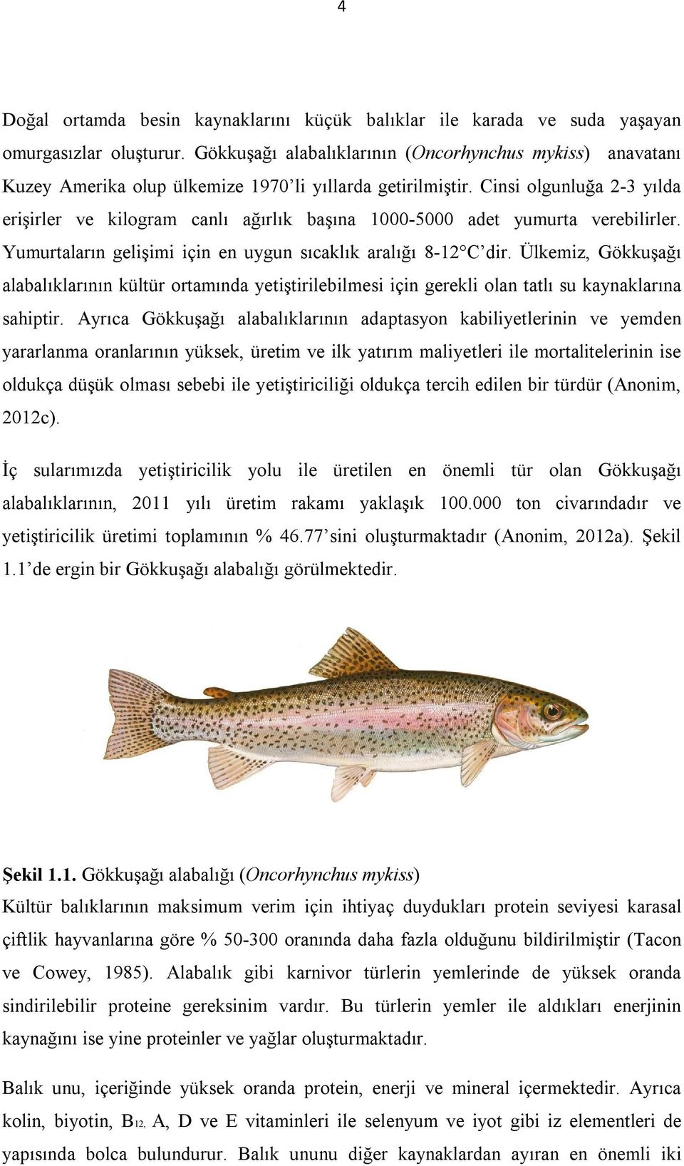 Cinsi olgunluğa 2-3 yılda erişirler ve kilogram canlı ağırlık başına 1000-5000 adet yumurta verebilirler. Yumurtaların gelişimi için en uygun sıcaklık aralığı 8-12 C dir.