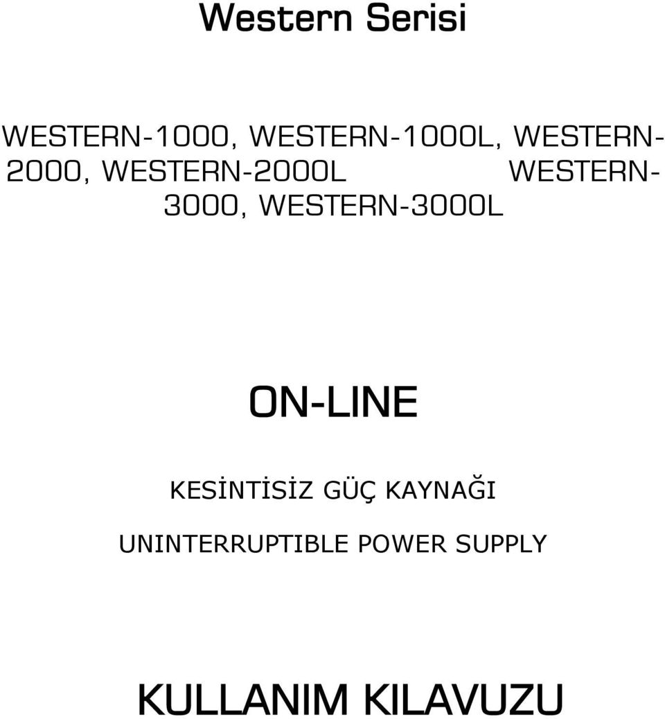 WESTERN-3000L ON-LINE KESİNTİSİZ GÜÇ KAYNAĞI