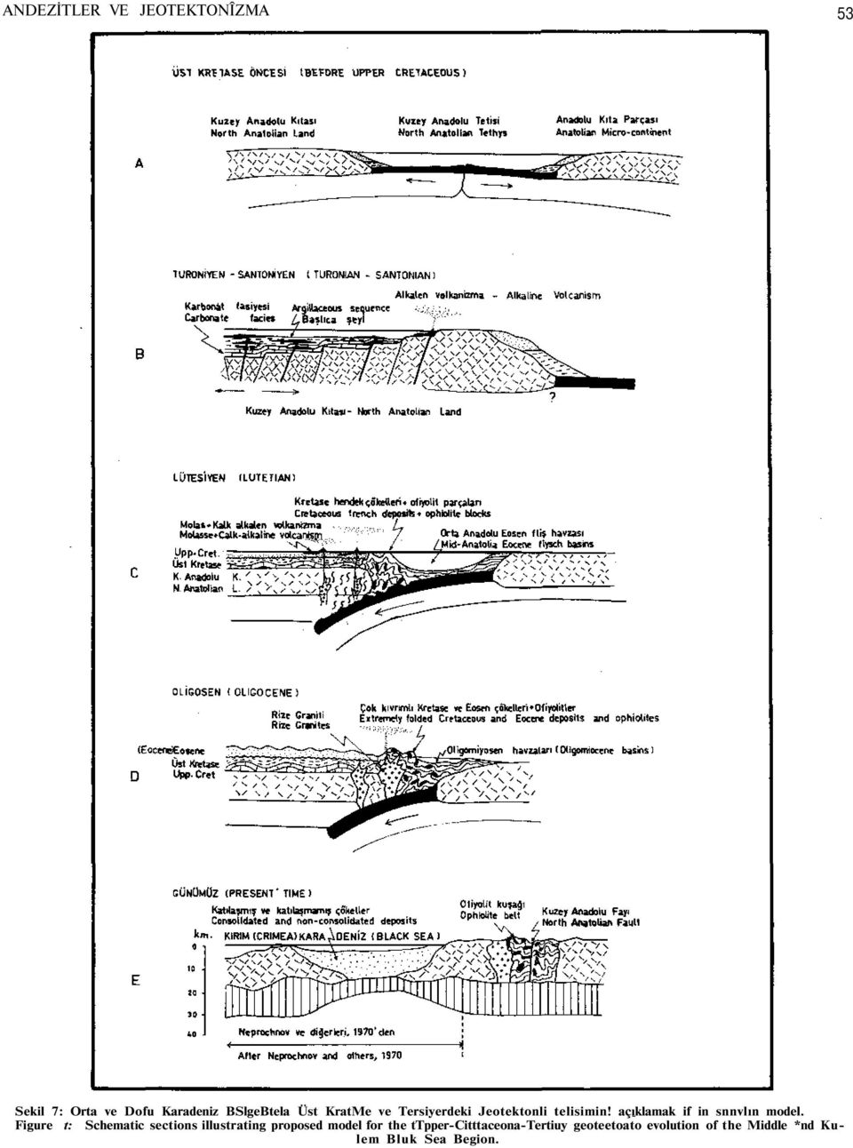 Figure t: Schematic sections illustrating proposed model for the
