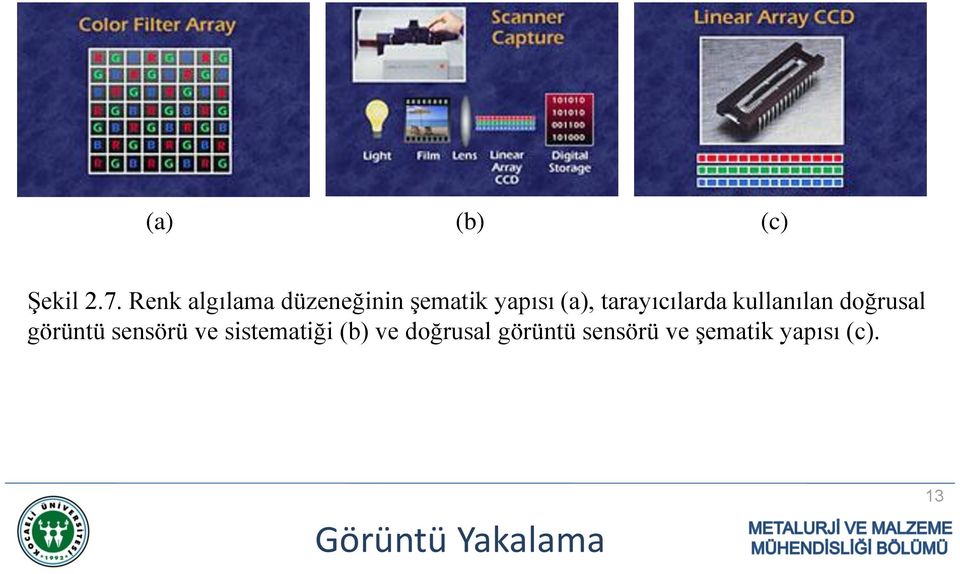 tarayıcılarda kullanılan doğrusal görüntü sensörü