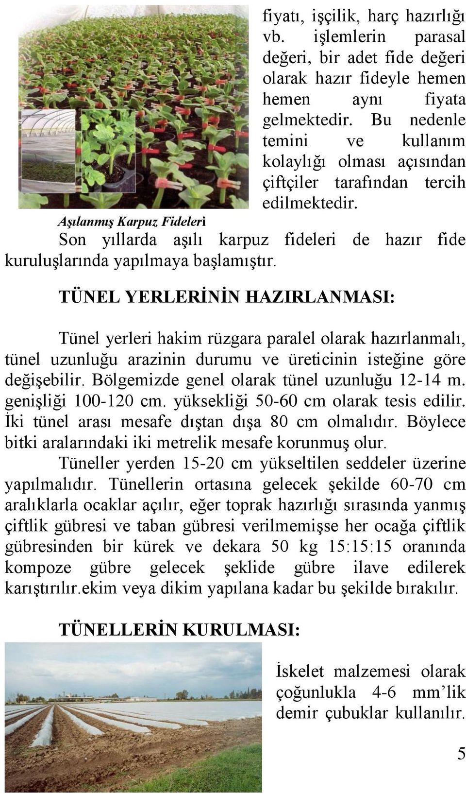 Aşılanmış Karpuz Fideleri Son yıllarda aşılı karpuz fideleri de hazır fide kuruluşlarında yapılmaya başlamıştır.