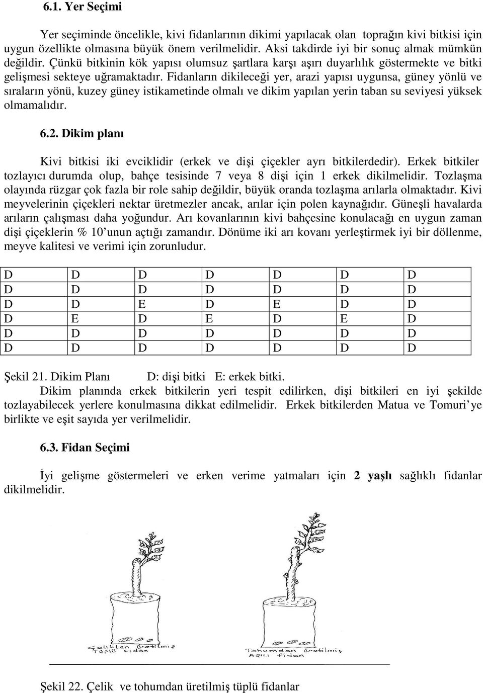 Fidanların dikileceği yer, arazi yapısı uygunsa, güney yönlü ve sıraların yönü, kuzey güney istikametinde olmalı ve dikim yapılan yerin taban su seviyesi yüksek olmamalıdır. 6.2.