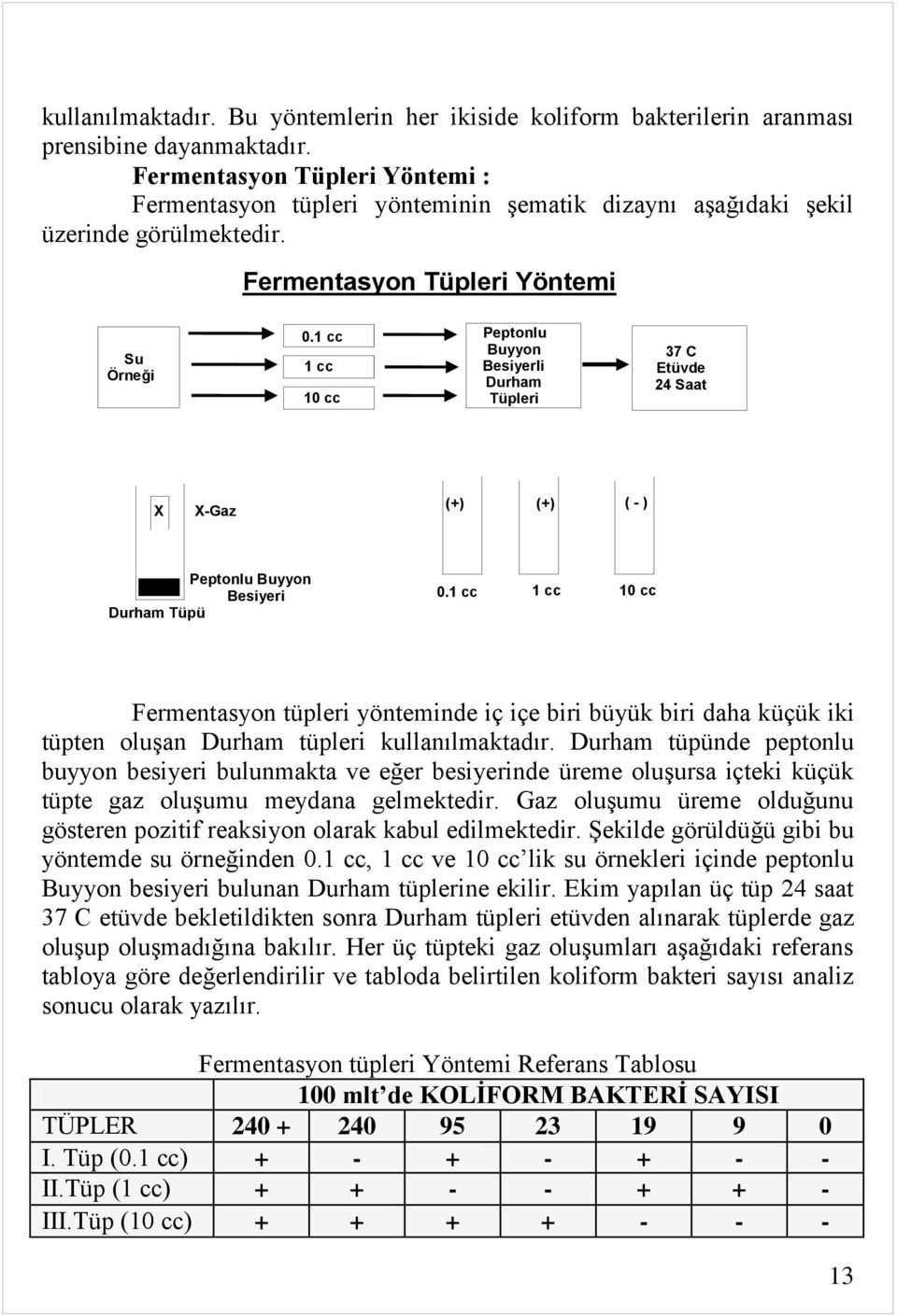 1 cc 1 cc 10 cc Peptonlu Buyyon Besiyerli Durham Tüpleri 37 C Etüvde 24 Saat X X-Gaz (+) (+) ( - ) Peptonlu Buyyon Besiyeri Durham Tüpü 0.