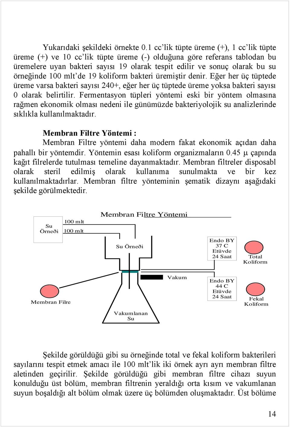 örneğinde 100 mlt de 19 koliform bakteri üremiģtir denir. Eğer her üç tüptede üreme varsa bakteri sayısı 240+, eğer her üç tüptede üreme yoksa bakteri sayısı 0 olarak belirtilir.