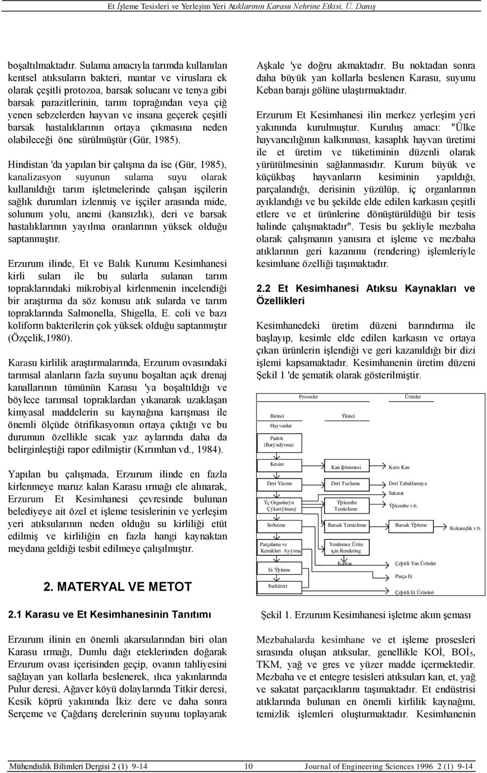 sebzelerden hayvan ve insana geçerek çeşitli barsak hastalıklarının ortaya çıkmasına neden olabileceği öne sürülmüştür (Gür, 1985).