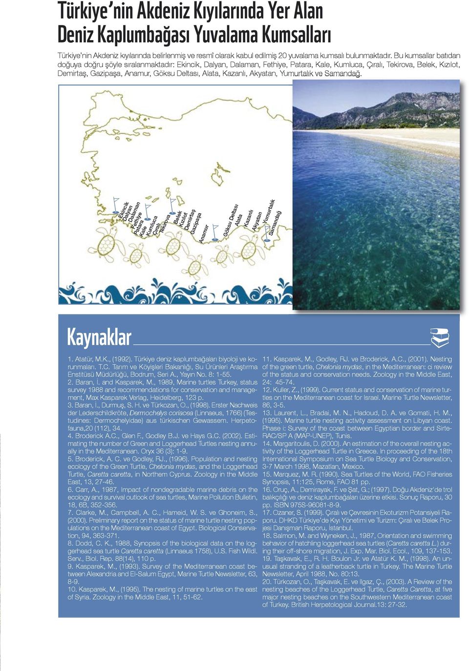 Kazanlı, Akyatan, Yumurtalık ve Samandağ. w w w Patara Kale Fethiye Ekincik Dalyan KaynaklarDalaman Çıralı Kumluca 1. Atatür, M.K., (1992). Türkiye deniz kaplumbağaları biyoloji ve korunmaları. T.C.